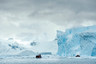 【追梦北极熊】北极熊斯瓦尔巴包船+冰岛环岛17天（极地游轮/黄河站/斯瓦尔巴）