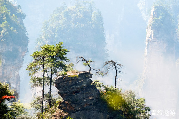 【当季爆款】湖南·芙蓉镇·天门山·玻璃栈道·张家界·凤凰 双卧7天【赠送百龙天梯+魅力湘西，张家界进吉首出，不走回头路】