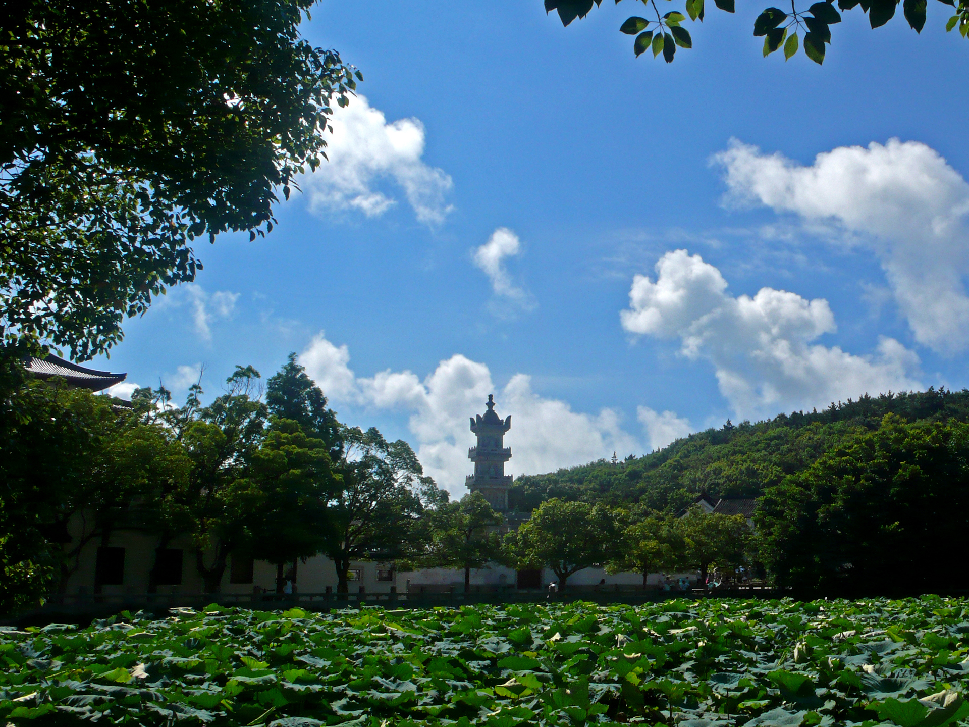 【购实惠】杭州西湖+普陀山祈福+双水乡乌镇西栅西塘双高5日游【纯玩0购物/夜宿普陀山】