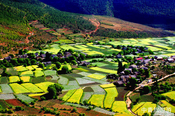 【私家团】【当季爆款】云南昆明/罗平/普者黑/弥勒6日游【双飞/独立成团/三生三世十里桃花-普者黑/金鸡峰丛•万亩油菜花田-罗平】