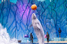 【乐园】芜湖大白鲸海洋公园、海洋动物秀、儿童梦幻乐园1日游