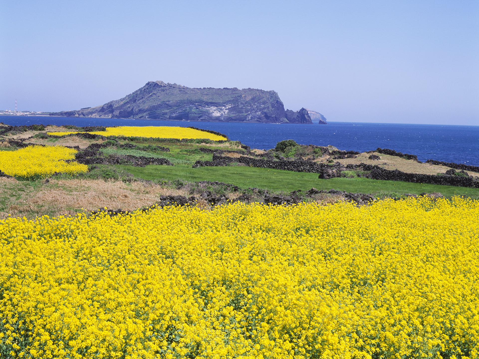 【韩国邮轮】理想号-天津-釜山-济州（西归浦）-天津5晚6天