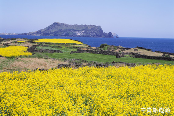 【韩国邮轮】理想号-天津-釜山-济州（西归浦）-天津5晚6天