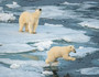 北极&北欧 北极熊王国11晚13天私享游