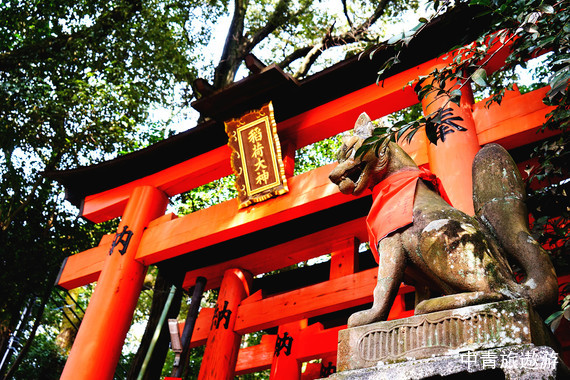 【美食尊享】日本本州古都倾城品质7日游【伊豆河津早樱/樱花盛景/河豚宴/蟹道乐/全景/双温泉/文化畅游/3大古都/3大高餐标美食】