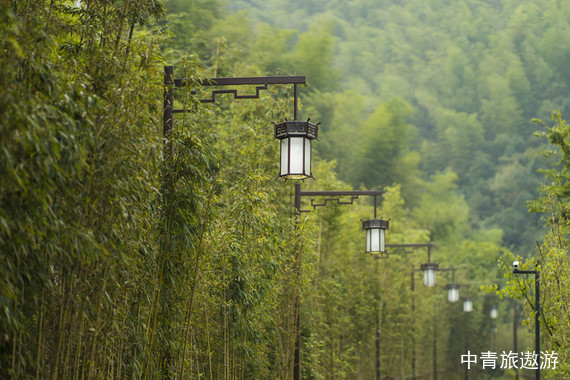 【亲子营】【亲子时光】浙江安吉3日游【hello kitty乐园/中南百草原/中国竹子博览园】