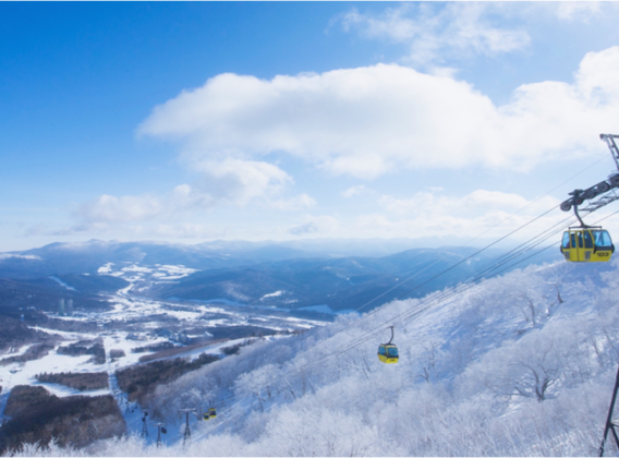 【粉雪畅滑】日本北海道5晚6天半自助【赠送札幌往返一日滑雪行程/全套雪具/雪场索道】