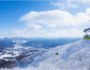 【粉雪畅滑】日本北海道5晚6天半自助【赠送札幌往返一日滑雪行程/全套雪具/雪场索道】