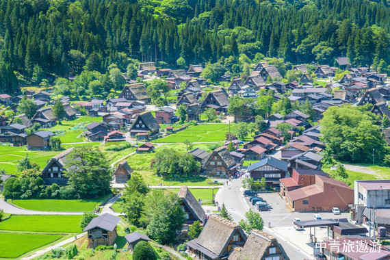 【雙冠】悅游日本—本州巡禮（東京+鐮倉+伊豆+箱根+松本+高山+岐阜+京都+大阪)7日游