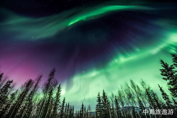 【不只極光ALOHA AURORA】從夏威夷火山到阿拉斯加冰川 跨越北極圈 西雅圖不眠夜 美國15日游