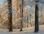 俄罗斯 冬日贝加尔湖4晚5天私享游