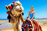 【爆款】突尼斯+摩洛哥13日【沙漠中骑单峰骆驼/RICK'S CAFFE下午茶/阿里之家烤羊餐/马拉喀什特色马车游】览】