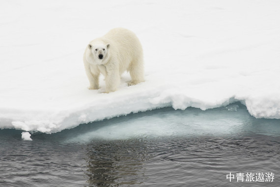 【北极秘境 动物王国】维京神话挪威 北极邮轮环斯瓦尔巴群岛15-24日游【海航直飞全国联运 载客170人 中文领队 资深探险队 打卡黄河站】