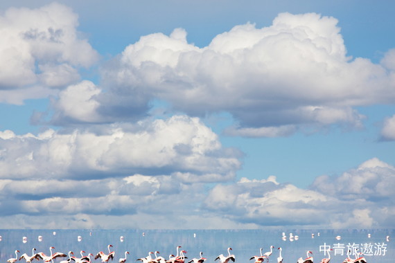 【非洲】肯尼亚10天【1晚伊丽莎白传奇树顶酒店丨星月岛徒步丨船游纳瓦沙丨2次Safari马赛马拉丨赠送日落香槟+篝火晚会丨越野车6客一辆】