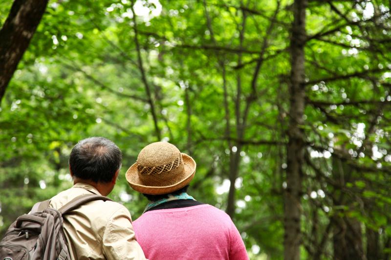 【东北】北京哈尔滨伊春五大连池齐齐哈尔双高6日【上甘岭溪水公园+醉蝶花谷+五营国家森林公园+汤旺河石林+白龙湖+北饮泉+扎龙+中央大街】