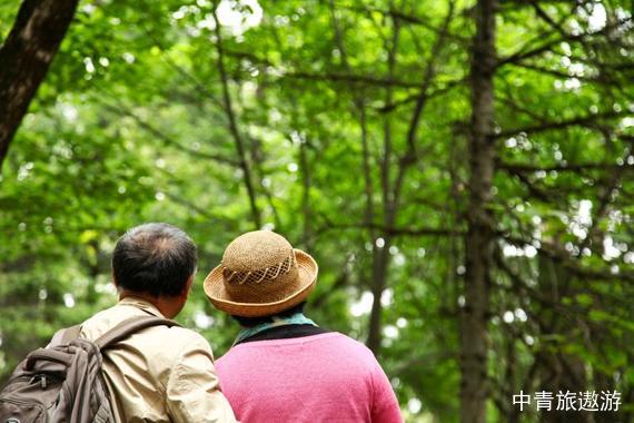 【东北】北京哈尔滨伊春五大连池齐齐哈尔双高6日【上甘岭溪水公园+醉蝶花谷+五营国家森林公园+汤旺河石林+白龙湖+北饮泉+扎龙+中央大街】