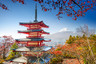 【日本跟团游】大阪、京都、奈良、伊豆、东京 -三古都双温泉之旅6日游