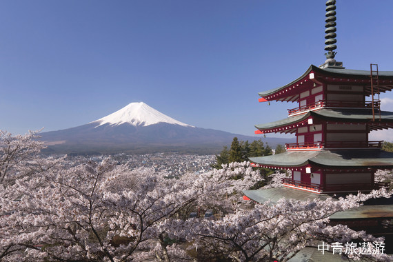 【日本】大阪京都伊豆富士山鐮倉東京 本州5晚6日【一價(jià)全含|南航直飛|阪進(jìn)東出|精品小團(tuán)|優(yōu)質(zhì)酒店|雙溫泉|京都鐮倉雙古都】