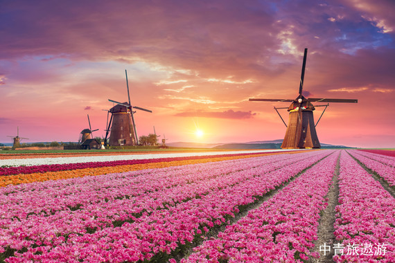 【西欧】德国+荷兰+比利时14天|无忧宫|阿姆斯特丹游船|梵高博物馆|比利时根特|柏林电视塔小孩堤防风车村|滑铁卢小镇|世外桃源羊角村