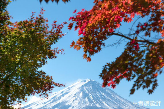 日本本州7日雙自由假期之旅（日本大阪、京都、奈良、箱根（富士山周邊地區(qū)）、東京）7日游