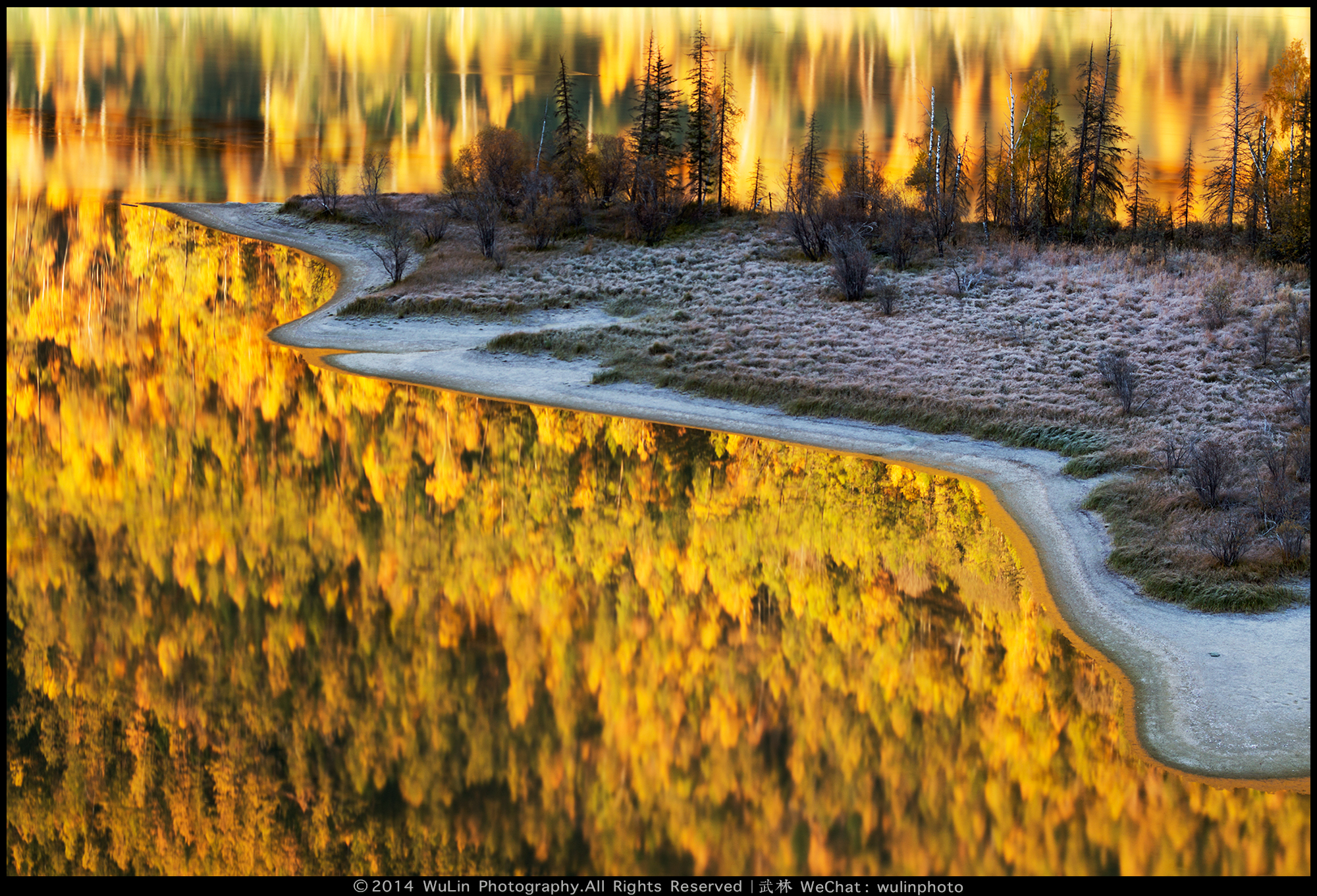 【遨游摄影】金秋喀纳斯－白哈巴—禾木摄影创作11日游【摄影师随行/经典拍摄点/经典秋色/经典不容错过】