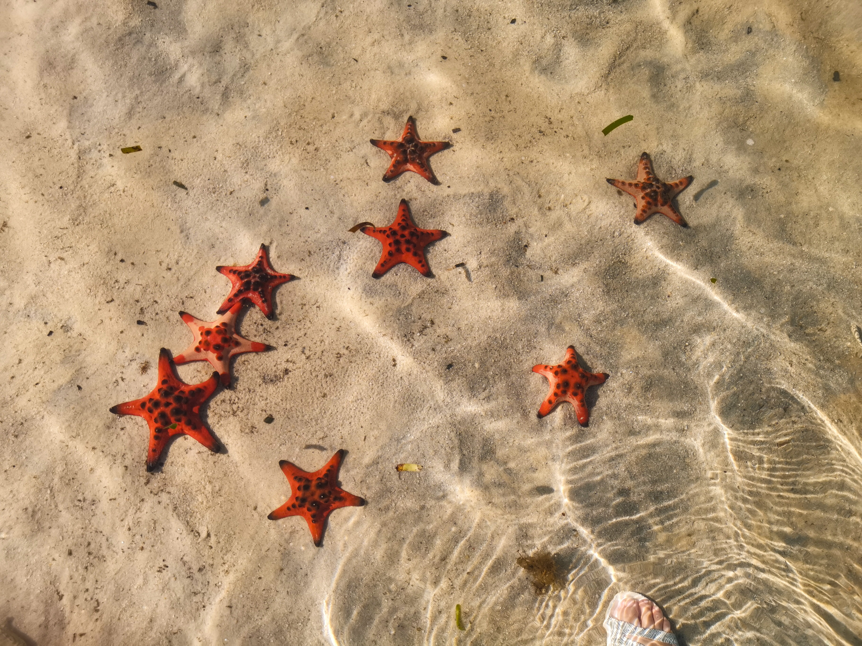 【海南】全富岛+银屿岛+鸭公岛 双飞5日【全富岛+银屿岛+鸭公岛】