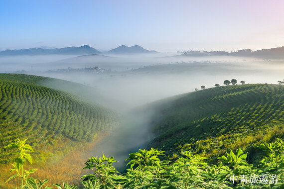 【云南】云南西双版纳双飞5日【西双版纳+望天树+告庄傣装换装秀+告庄星光夜市+勐仑植物园+傣族园+曼丢千年古寨+野象谷】