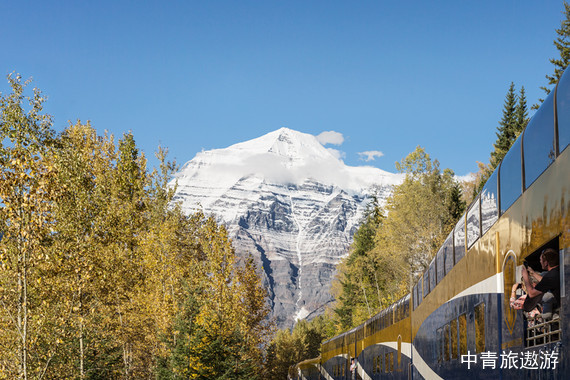 【美洲郵輪】公主郵輪“公主號”阿拉斯加冰河郵輪+丹奈利公園+麥金利山+14日【阿拉斯加的公園巡禮|阿拉斯加穹頂觀光火車】