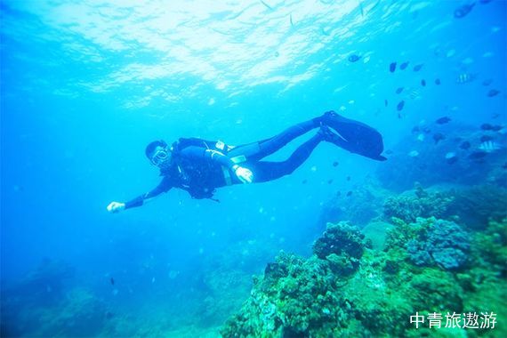 【三亚】双飞5日游【4晚三亚舒适酒店|蜈支洲一日|呀诺达|南山文化苑|大小洞天|直升机体验|文昌鸡宴】