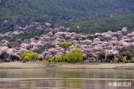 【西藏】卧飞9日游【布达拉宫+大昭寺广场+索松村+雅鲁藏布江大峡谷南北岸+鲁朗林海+巴松措+羊卓雍措】