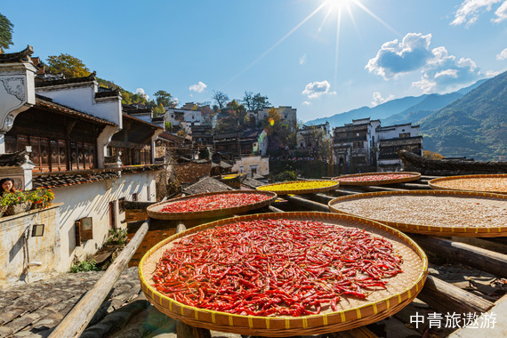 【江西】純美江西?南昌進出 雙臥7日【廬山主景區+鄱陽湖+篁嶺花海+三清山+望仙谷+景德鎮】一車一導，真純玩0購物