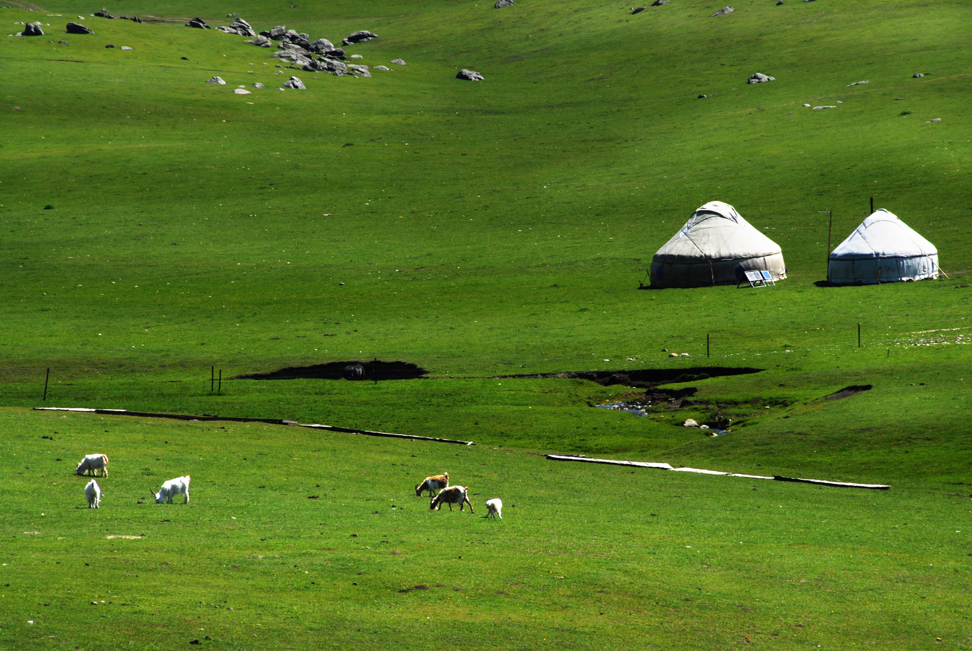 【内蒙古】呼和浩特+达拉特旗+乌兰察布高铁往返5日【5A响沙湾+锡拉木伦庙+大红山+格根塔拉草原+天鹅湖】