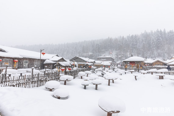 【东北】哈尔滨+亚布力+雪乡 哈尔滨双高6日【亚布力滑雪旅游度假区+中国雪乡+冰雪画廊+伏尔加庄园欧式城堡酒店+中央大街】
