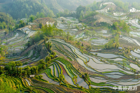 云南双飞8日游【抚仙湖+建水古城+朱家花园+临安小火车+十七孔桥+元阳梯田+元阳+蒙自碧色寨+普者黑+菜花菁+东风韵+东川红土地+元谋土林】