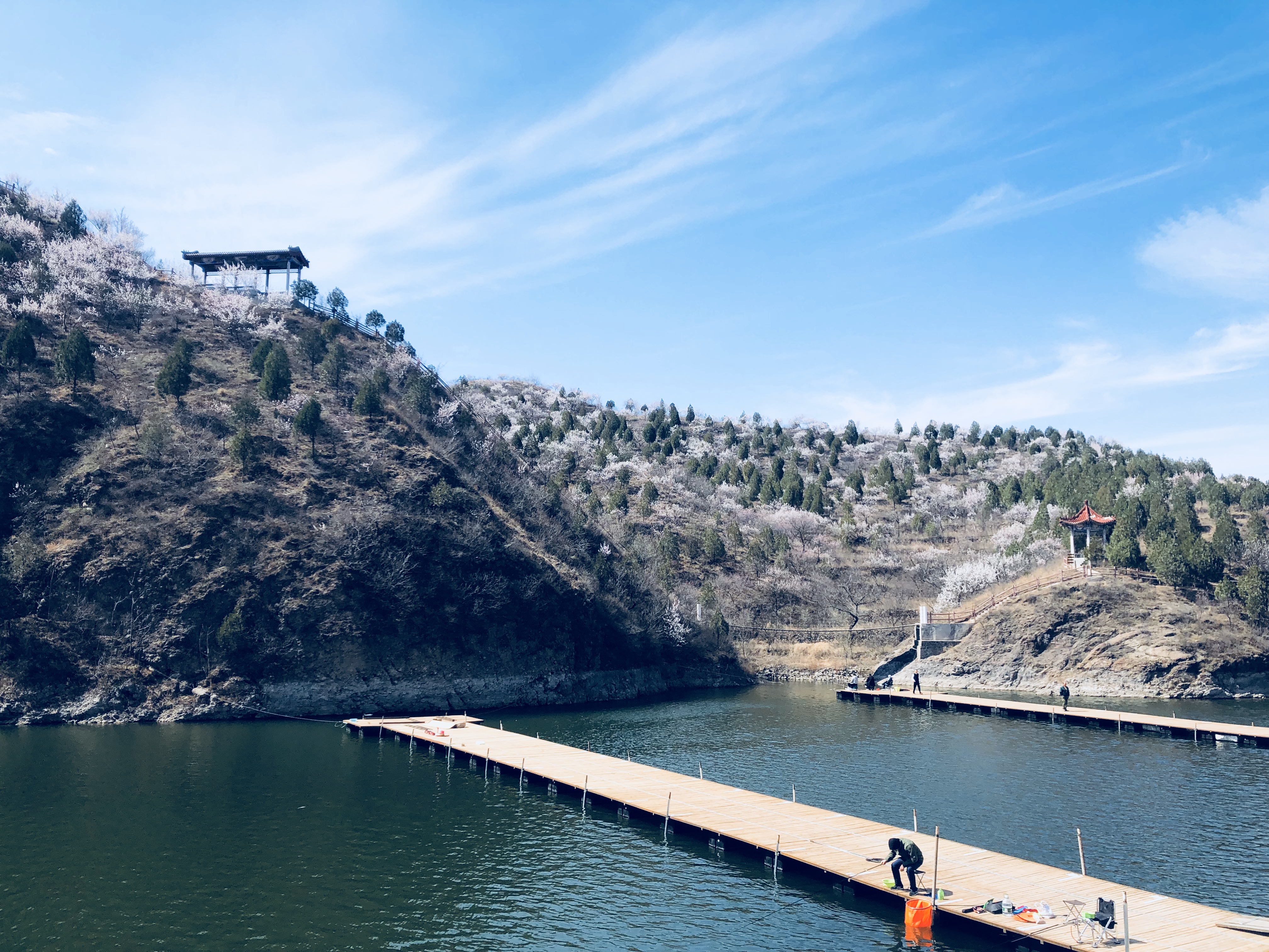 【非凡研学】九龙山植物繁殖与自然观测研学1日游【森林课堂启智，草木传情践学】