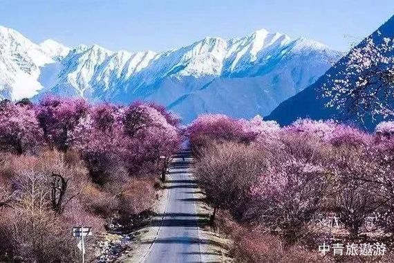【中青旅自組】【西藏】拉薩+林芝+圣湖11-13日游【夜觀南迦巴瓦+布宮+大昭寺+羊湖+納木措+巴松措+大峽谷+甘丹寺+西藏博物館】