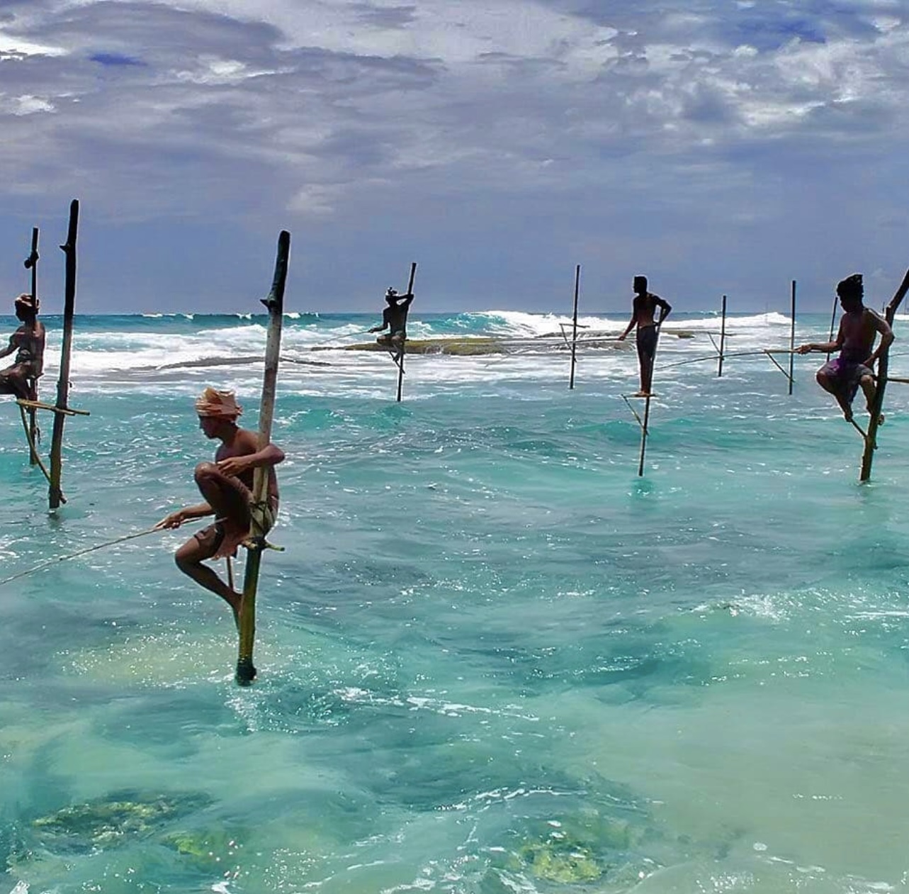 【象行锡兰】斯里兰卡5晚7日游【上海东航直飞/可搭配全国联运/圣玛丽教堂+海滨小火车+狮子岩+佛牙寺】