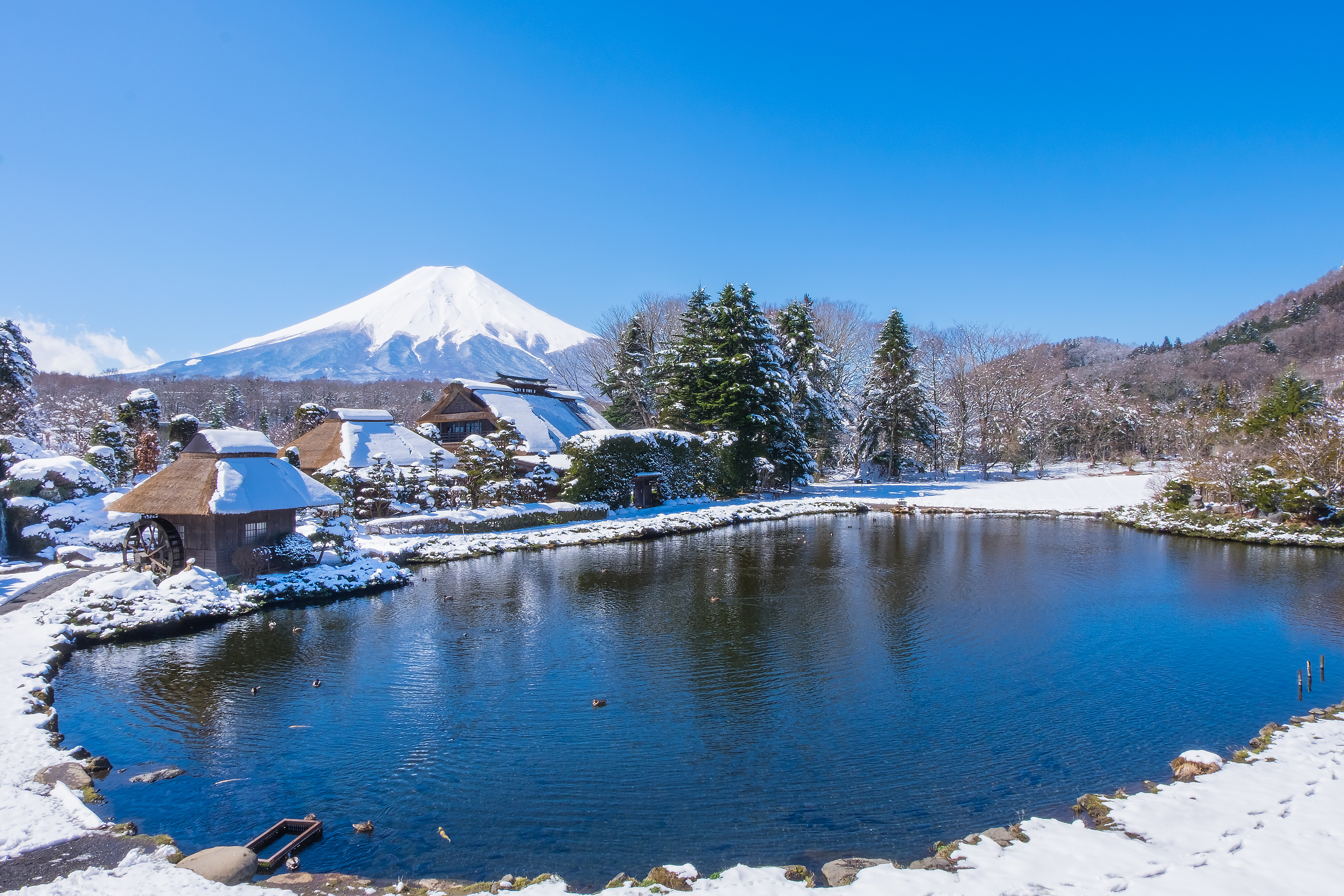 【日本】本州7日全日空航空直飞  阪进东去