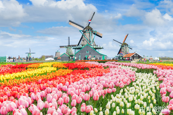 【欧洲】荷兰+比利时+德国15日|国航直飞|梵高博物馆|慕尼黑宝马世界|保时捷博物馆|库肯霍夫公园|风车村|新天鹅堡|羊角村游船
