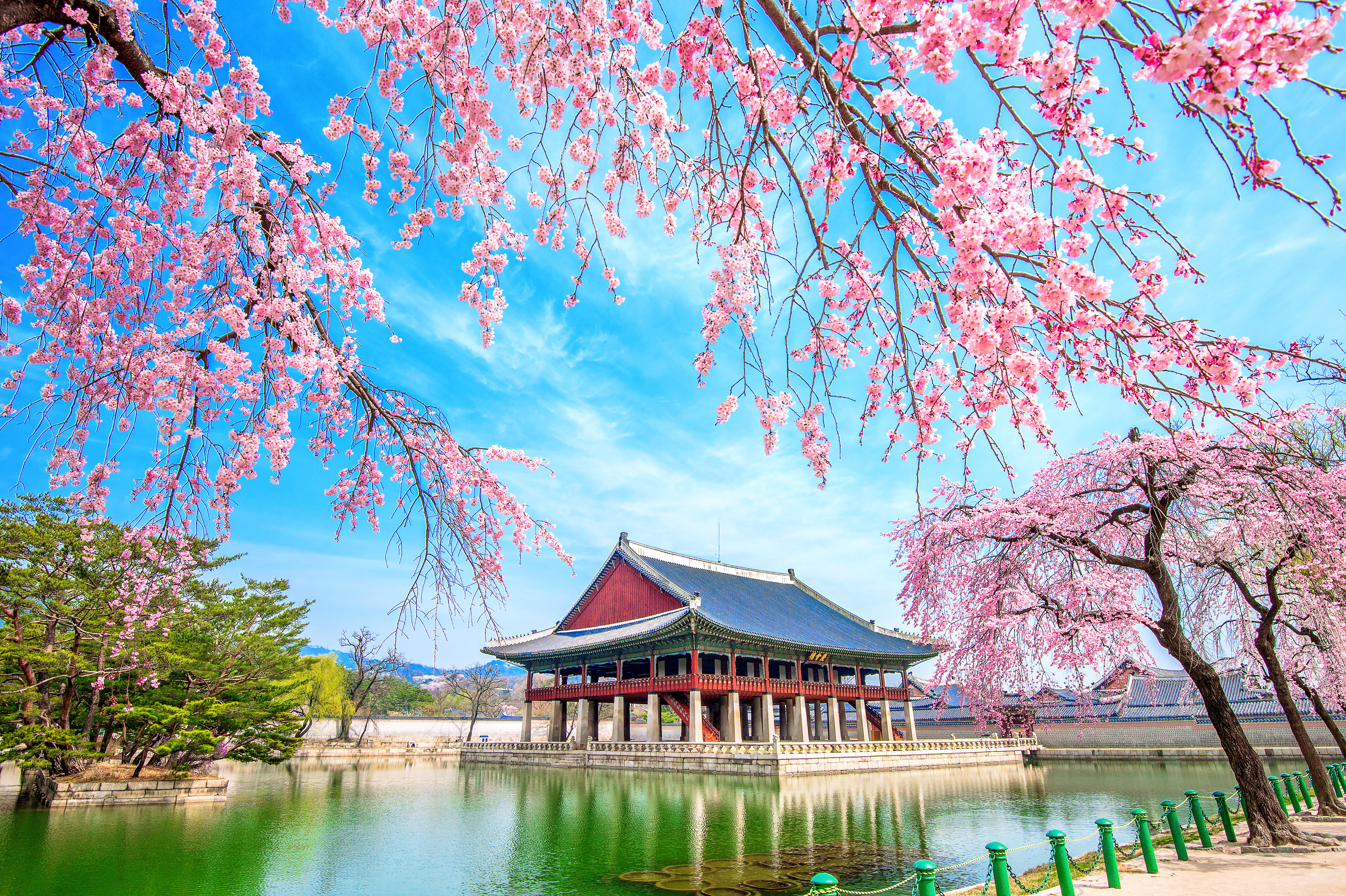 【亞洲】韓國濟州島4晚5日【城山日出峰|泰迪熊博物館|漢拿樹木園夜市|五彩燈光街】