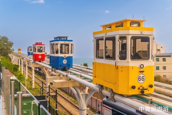 【韓國】濟州島4晚5天【牛島|森林小火車|小羊肖恩羊駝牧場|道頭洞彩虹海岸道路】