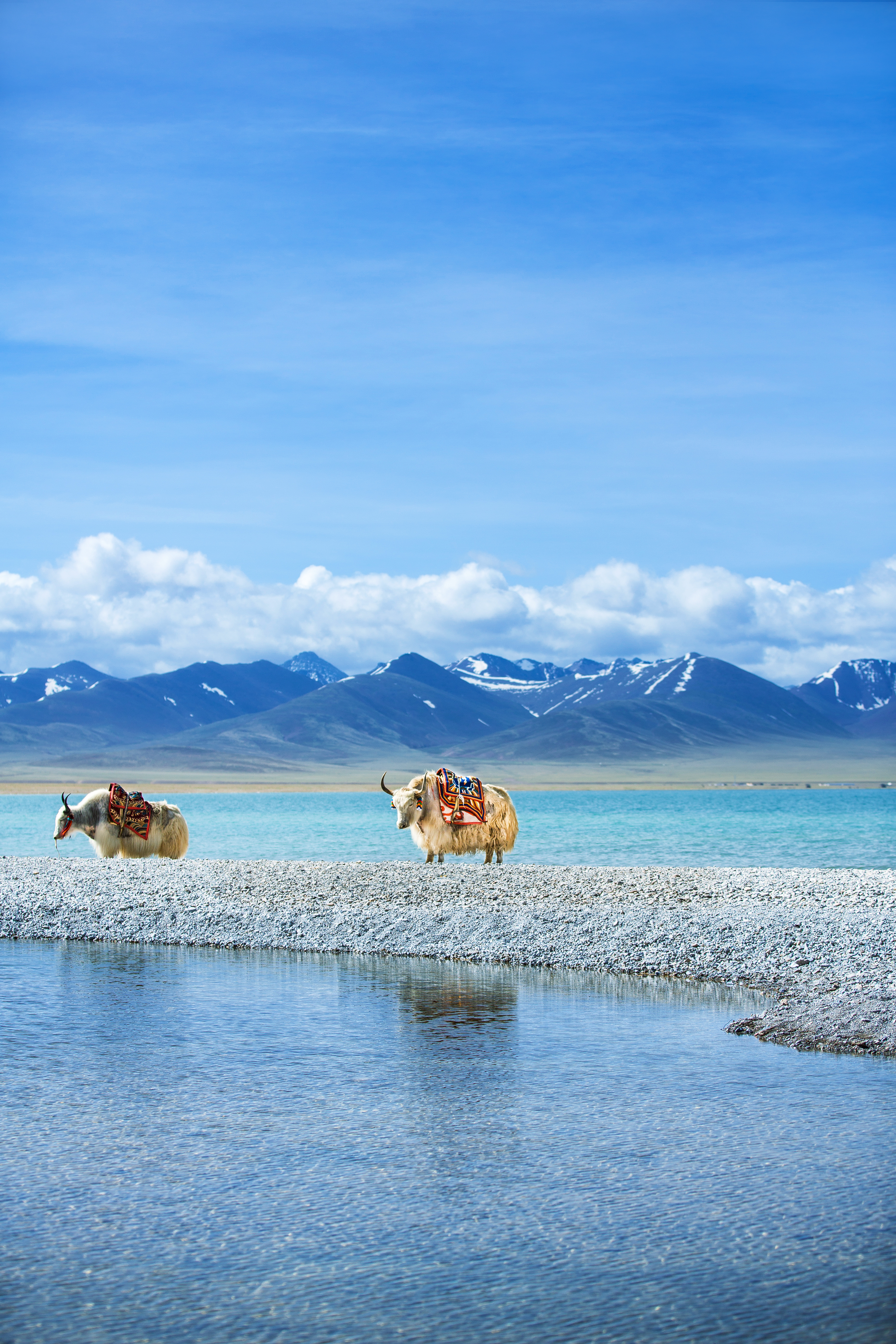 【芳華旅行家】【遨游西藏】拉薩+林芝+圣湖6-11日游【夜觀南迦巴瓦+布達拉宮+大昭寺+羊卓雍措+巴松措+大峽谷+玉松島+嘎啦桃花村】