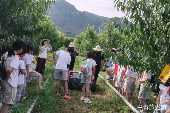 平谷農(nóng)業(yè)科技研學-綠谷匯德科技小院1日游